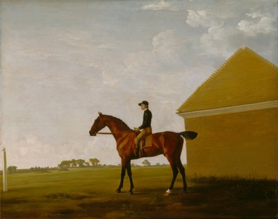Turf, with Jockey up, at Newmarket by George Stubbs